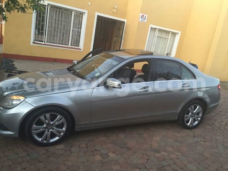 Big with watermark 14572839 1276538899057194 7605807282165903254 n