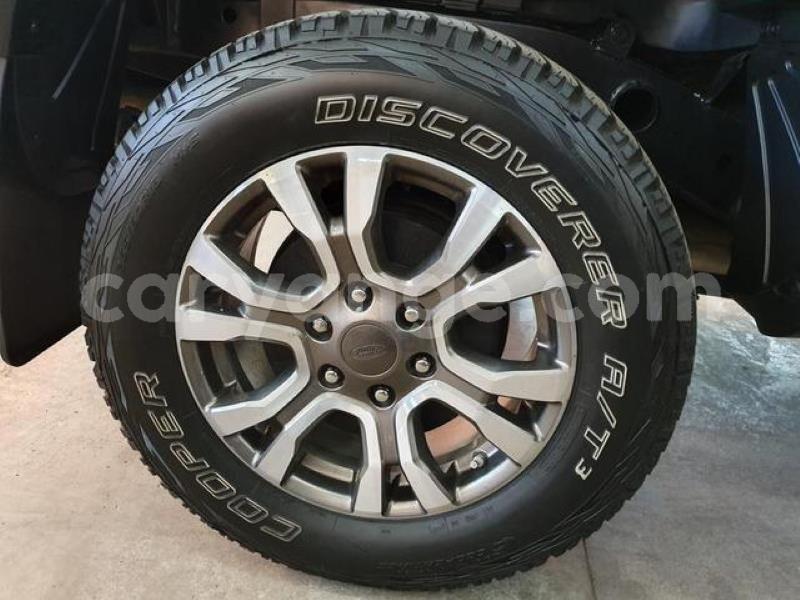 Big with watermark y10