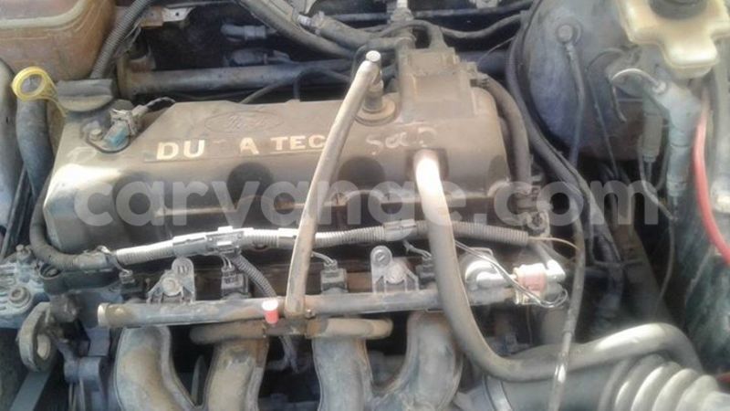 Big with watermark 14937420 10210899464142563 5142262507148257599 n