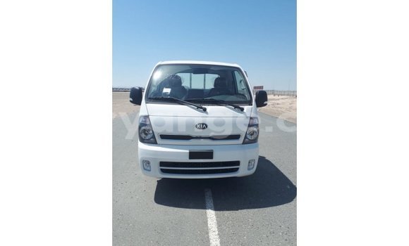 Buy Import Kia Picanto White Car in Import - Dubai in Namibia Buy Import Kia Picanto White Car in Import - Dubai in Namibia