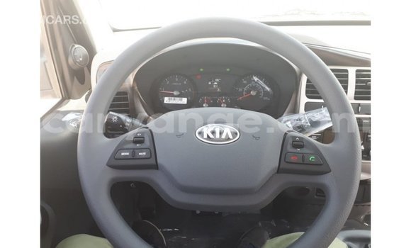 Buy Import Kia Picanto White Car in Import - Dubai in Namibia Buy Import Kia Picanto White Car in Import - Dubai in Namibia