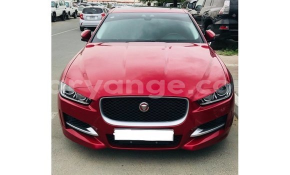 Buy Import Jaguar XE Red Car in Import - Dubai in Namibia