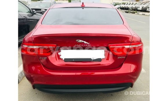 Buy Import Jaguar XE Red Car in Import - Dubai in Namibia Buy Import Jaguar XE Red Car in Import - Dubai in Namibia