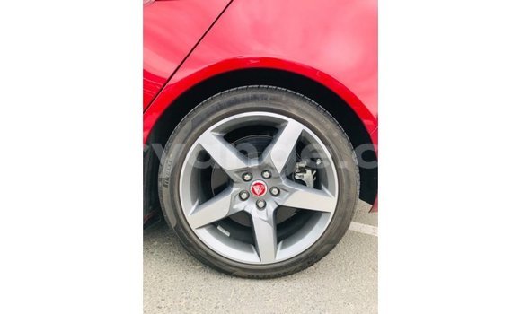 Buy Import Jaguar XE Red Car in Import - Dubai in Namibia Buy Import Jaguar XE Red Car in Import - Dubai in Namibia