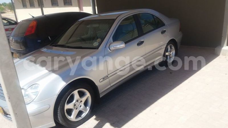 Big with watermark 14937420 10210899464142563 5142262507148257599 n