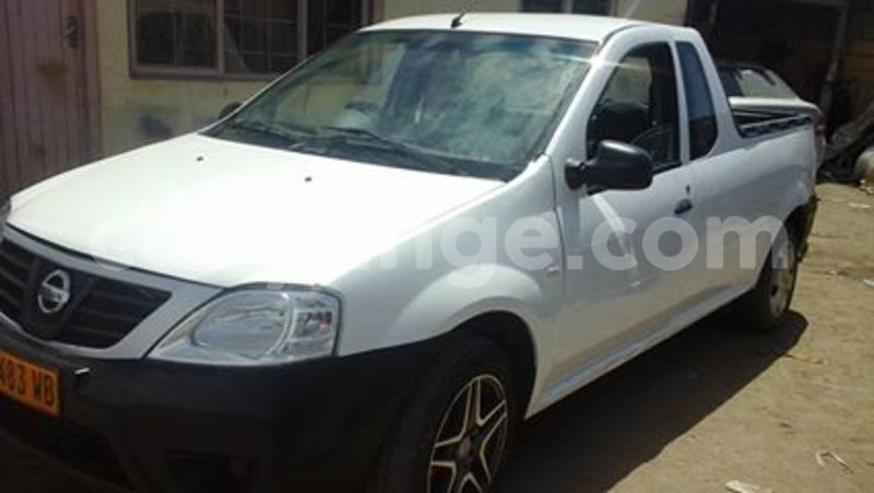 Big with watermark 14572839 1276538899057194 7605807282165903254 n