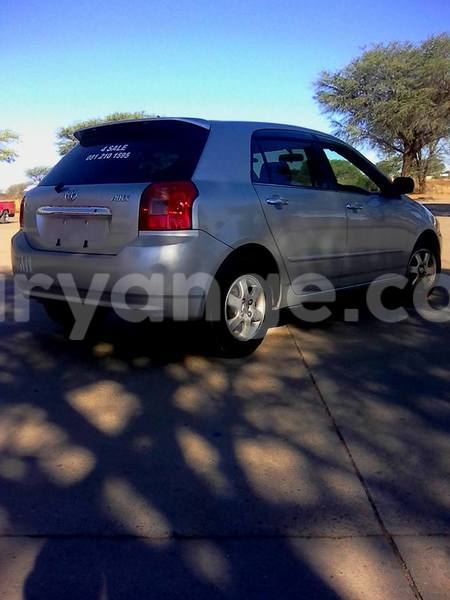 Big with watermark 14572839 1276538899057194 7605807282165903254 n