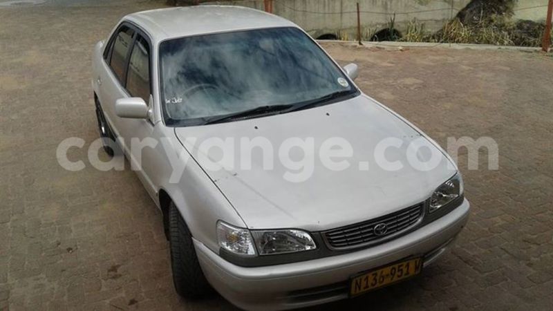 Big with watermark 14572839 1276538899057194 7605807282165903254 n