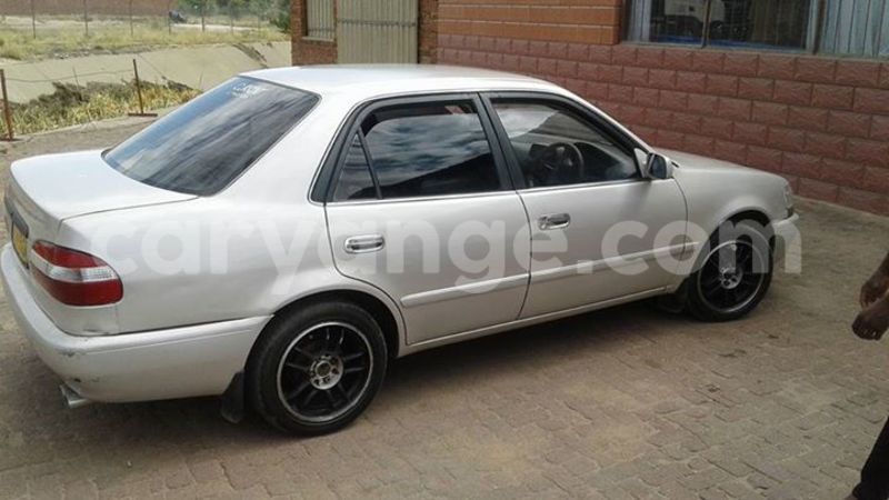 Big with watermark 14695326 1276538865723864 3907257530309395993 n