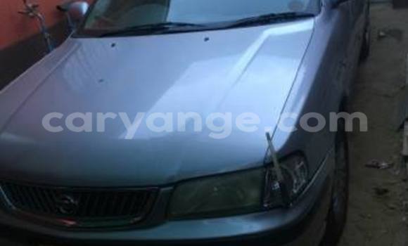 Buy Used Nissan Sunny Silver Car in Windhoek in Namibia Buy Used Nissan Sunny Silver Car in Windhoek in Namibia