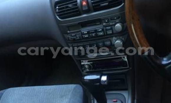 Buy Used Nissan Sunny Silver Car in Windhoek in Namibia Buy Used Nissan Sunny Silver Car in Windhoek in Namibia