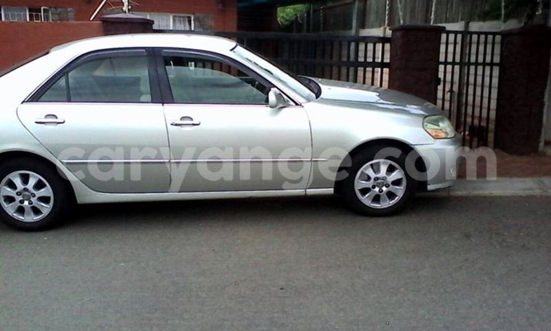 Big with watermark 14572839 1276538899057194 7605807282165903254 n