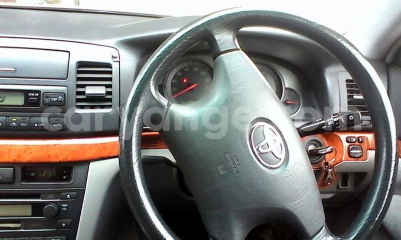 Big with watermark 14695326 1276538865723864 3907257530309395993 n