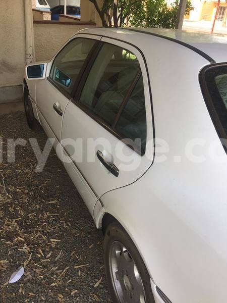 Big with watermark 14572839 1276538899057194 7605807282165903254 n