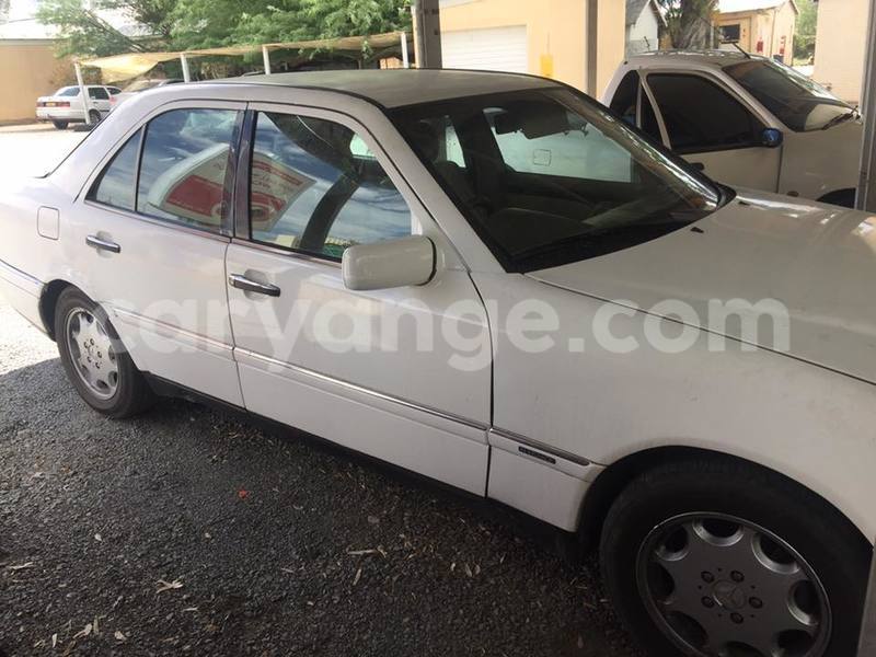 Big with watermark 14937420 10210899464142563 5142262507148257599 n