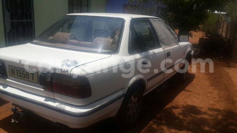 Big with watermark 14572839 1276538899057194 7605807282165903254 n