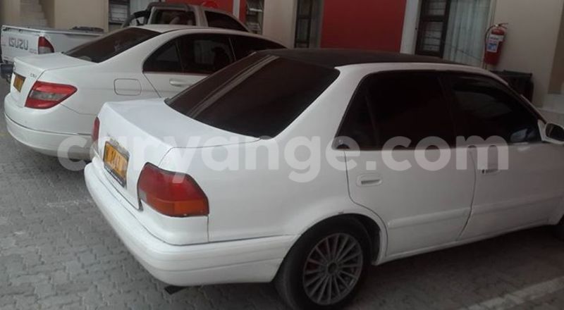 Big with watermark 14937420 10210899464142563 5142262507148257599 n