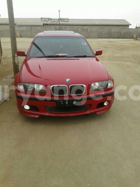 Big with watermark 14572839 1276538899057194 7605807282165903254 n