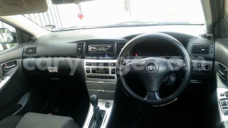 Big with watermark 14695326 1276538865723864 3907257530309395993 n