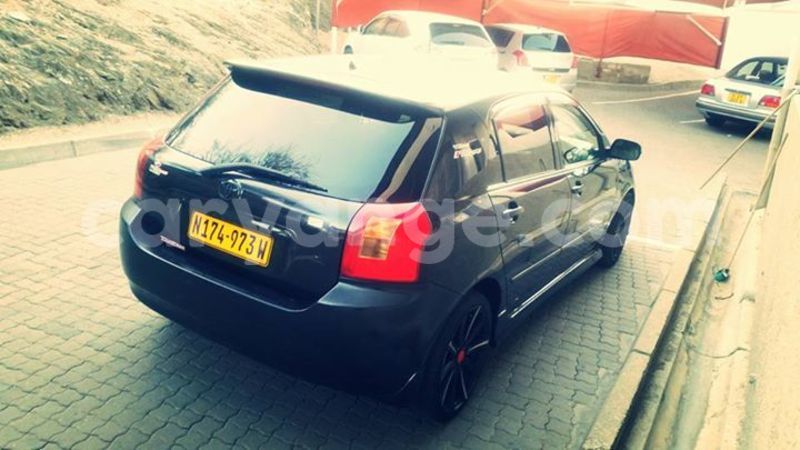 Big with watermark 14572839 1276538899057194 7605807282165903254 n