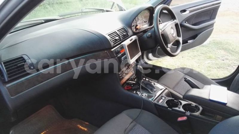 Big with watermark 14695326 1276538865723864 3907257530309395993 n