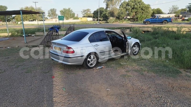 Big with watermark 14937420 10210899464142563 5142262507148257599 n