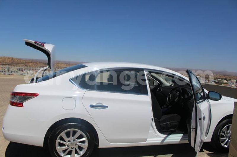 Big with watermark 14572839 1276538899057194 7605807282165903254 n