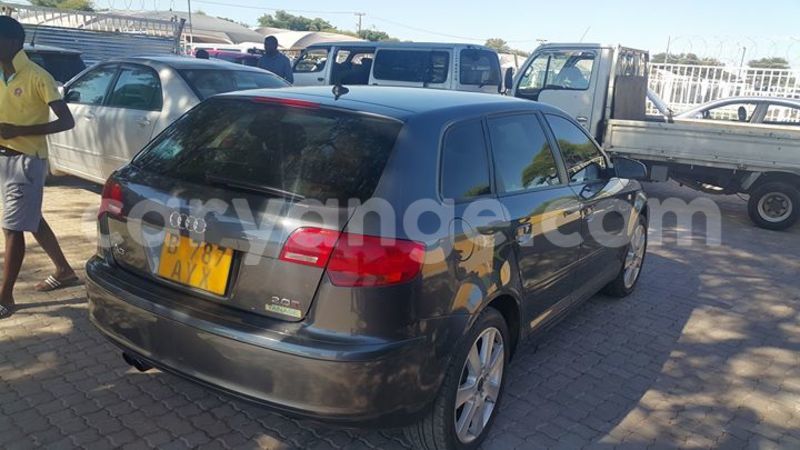 Big with watermark 14695326 1276538865723864 3907257530309395993 n