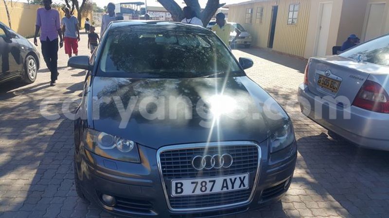 Big with watermark 14572839 1276538899057194 7605807282165903254 n