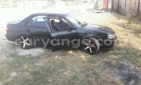 Buy Used Honda Accord Black Car in Windhoek in Namibia