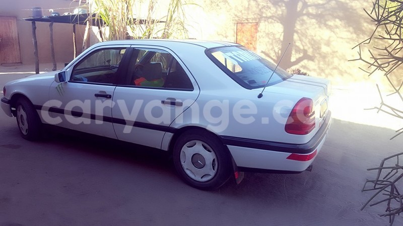 Big with watermark 14572839 1276538899057194 7605807282165903254 n