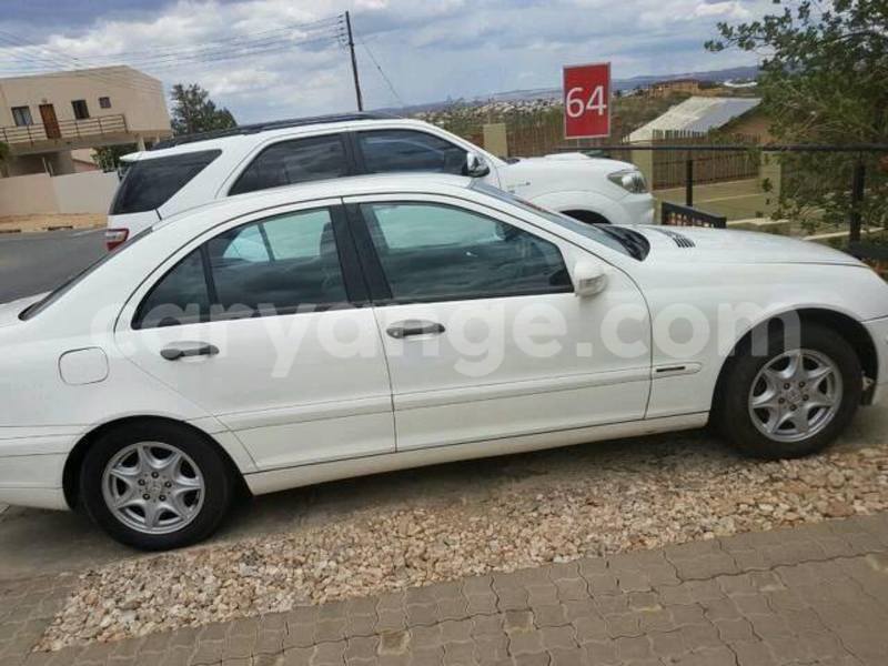 Big with watermark 14937420 10210899464142563 5142262507148257599 n