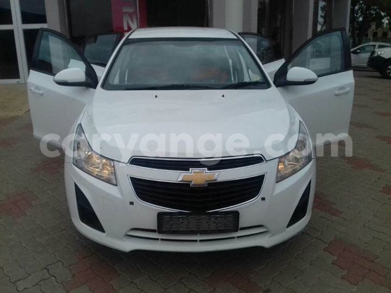 Big with watermark 14937420 10210899464142563 5142262507148257599 n