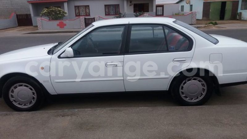 Big with watermark 14937420 10210899464142563 5142262507148257599 n