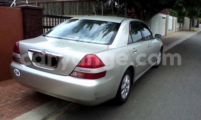 Big with watermark 14572839 1276538899057194 7605807282165903254 n