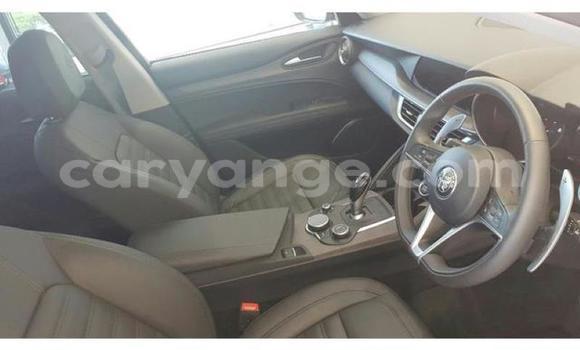 Buy Used Alfa Romeo Stelvio Red Car in Windhoek in Namibia Buy Used Alfa Romeo Stelvio Red Car in Windhoek in Namibia