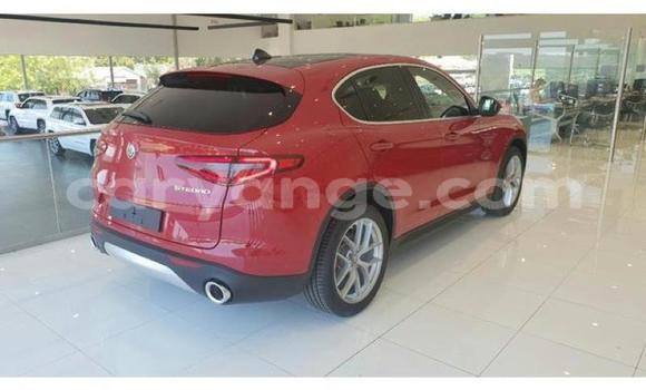Buy Used Alfa Romeo Stelvio Red Car in Windhoek in Namibia Buy Used Alfa Romeo Stelvio Red Car in Windhoek in Namibia