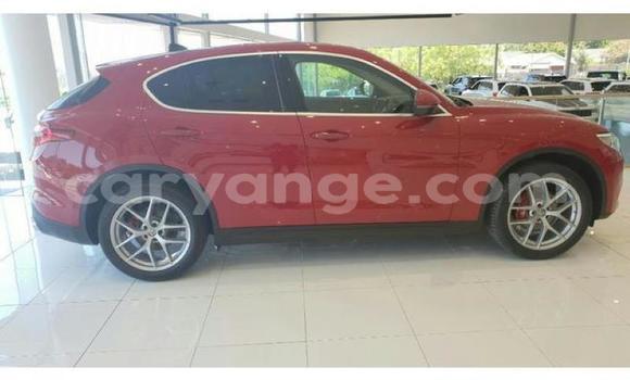 Buy Used Alfa Romeo Stelvio Red Car in Windhoek in Namibia Buy Used Alfa Romeo Stelvio Red Car in Windhoek in Namibia