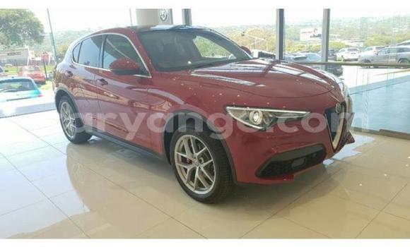 Buy Used Alfa Romeo Stelvio Red Car in Windhoek in Namibia Buy Used Alfa Romeo Stelvio Red Car in Windhoek in Namibia