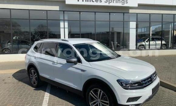 Acheter Occasion Voiture Volkswagen Tiguan Blanc à Windhoek, Namibie Acheter Occasion Voiture Volkswagen Tiguan Blanc à Windhoek, Namibie