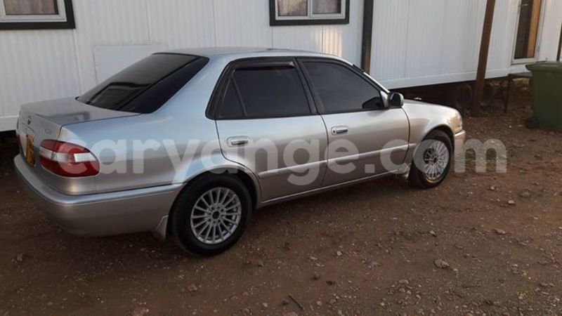 Big with watermark 14572839 1276538899057194 7605807282165903254 n