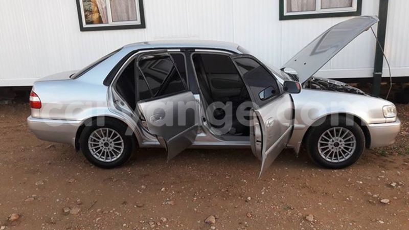 Big with watermark 14937420 10210899464142563 5142262507148257599 n