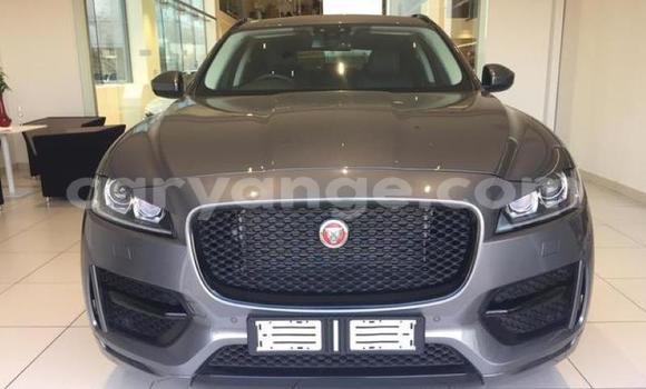 Buy Used Jaguar F-Pace Black Car in Windhoek in Namibia