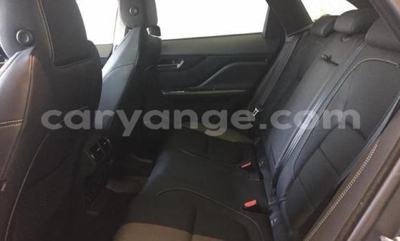 Buy Used Jaguar F-Pace Black Car in Windhoek in Namibia Buy Used Jaguar F-Pace Black Car in Windhoek in Namibia