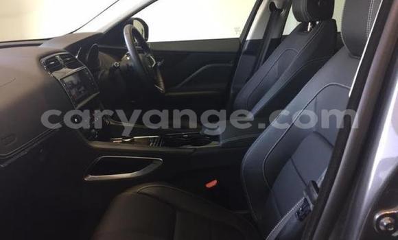 Buy Used Jaguar F-Pace Black Car in Windhoek in Namibia Buy Used Jaguar F-Pace Black Car in Windhoek in Namibia