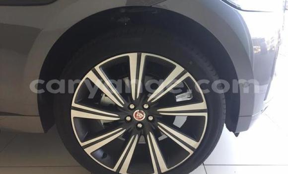 Buy Used Jaguar F-Pace Black Car in Windhoek in Namibia Buy Used Jaguar F-Pace Black Car in Windhoek in Namibia