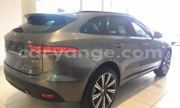 Buy Used Jaguar F-Pace Black Car in Windhoek in Namibia Buy Used Jaguar F-Pace Black Car in Windhoek in Namibia