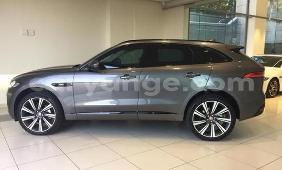 Buy Used Jaguar F-Pace Black Car in Windhoek in Namibia Buy Used Jaguar F-Pace Black Car in Windhoek in Namibia