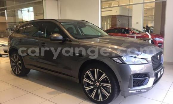 Buy Used Jaguar F-Pace Black Car in Windhoek in Namibia Buy Used Jaguar F-Pace Black Car in Windhoek in Namibia
