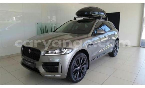 Buy Used Jaguar F-Pace Other Car in Windhoek in Namibia